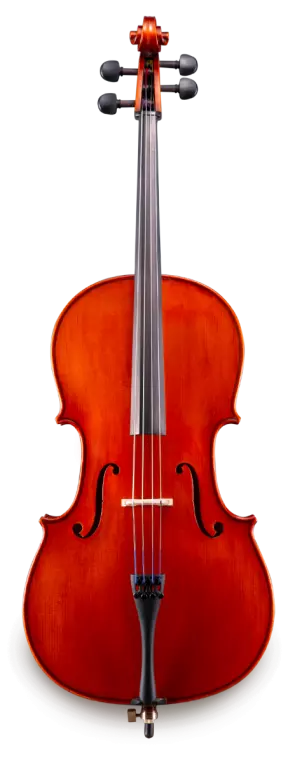 Eastman 100 Cello | VC100 Cello Outfit | TheInstrumentPlace.com