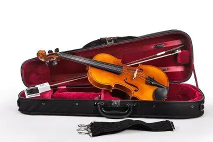 Eastman Strings Model 80 Student Violin Outfit - Used / MINT CONDITION