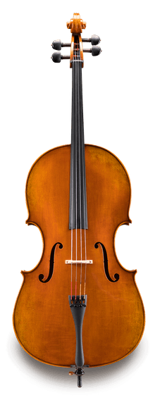 Eastman Strings Model 702- Wilhelm Klier- Professional Cello