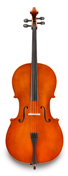 Eastman Strings Model 80 Cello Outfit - Front