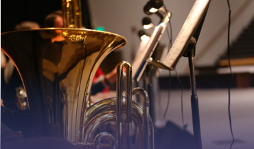 Professional-article